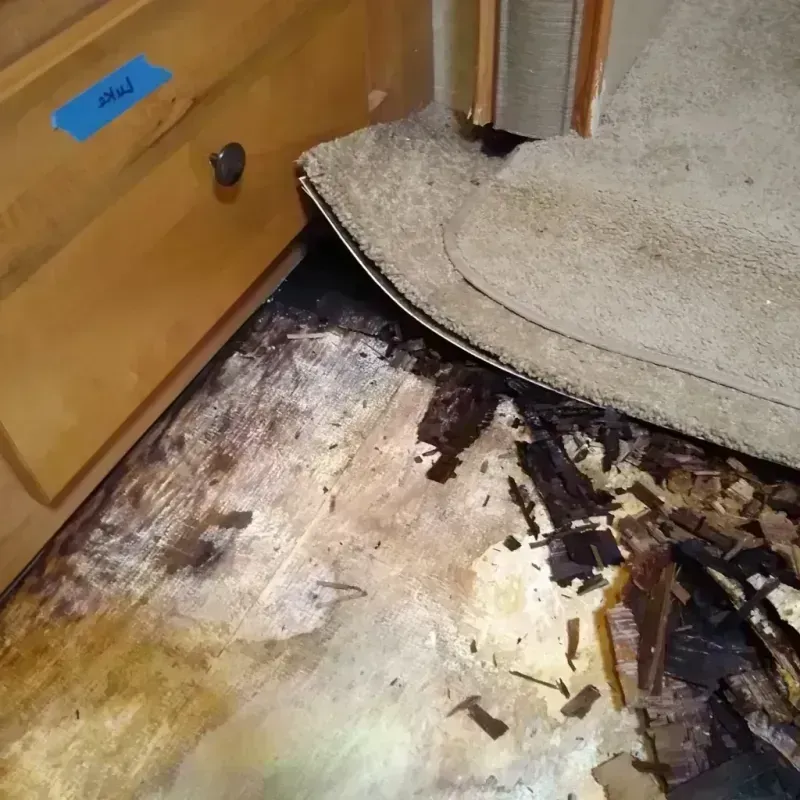 Best Wood Floor Water Damage Service in Emmet County, IA